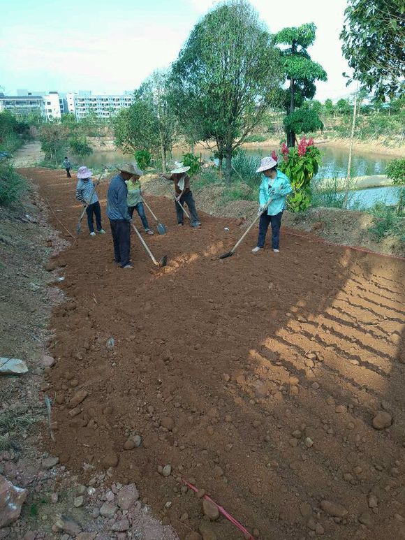 贵州污泥改性固化剂施工便道固化土使用